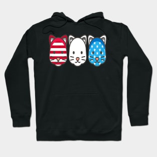 Red White And Blue American Flag Hoodie